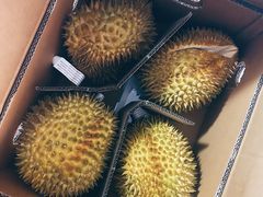 -西郊国际农产品交易中心