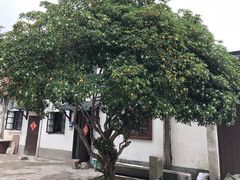 -天虹购物中心(石路店)