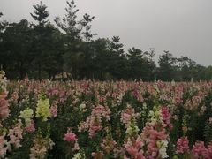 -清远熹乐谷温泉度假酒店
