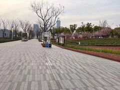 -上海山野camping·户外天幕烧烤·团建拓展营地