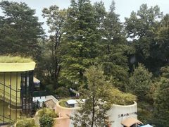 -三鹰之森吉卜力美术馆