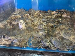 -东方红海鲜百汇(国际大厦店)