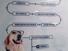 -宠颐生宠物医院外科·内科·皮肤科·影像科(石龙店)