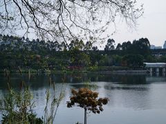 -琴亭湖公园