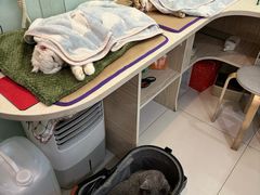 -纳吉亚猫专科动物医院博雅分院