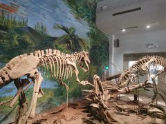 -自贡恐龙博物馆