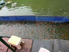 -白塘生态植物园