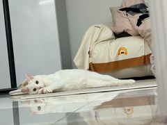 -7只羊·鲜羊肉串·地锅鸡精酿(玄武墨香路店)