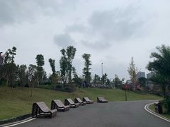 -枫香湖儿童公园