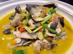 -饭怕鱼(阳光100店)