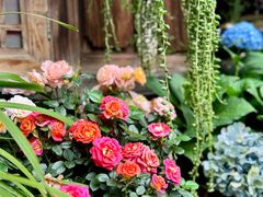 -龙姐私房菜(和顺古镇店)