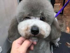 -PETKIT小佩宠物·低压洗护(国顺东路店)