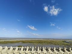 -南汇新城海滩
