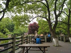 -白马涧龙池景区