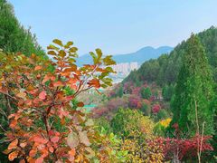 -龙洞风景区-藏龙涧