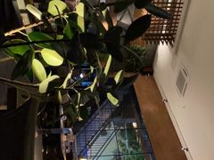 -巴别塔法餐舍(朝阳店)