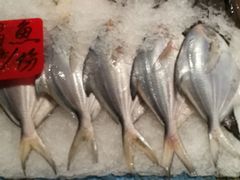-江海渔港(姚港路店)