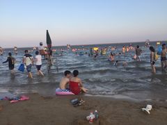 -碧海金沙