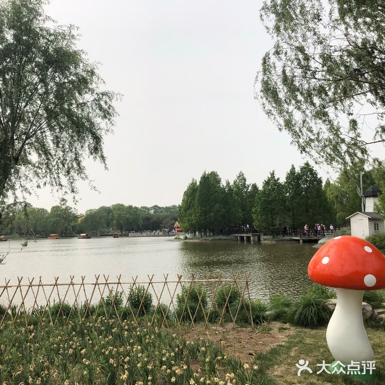 我们今天去那里野餐了，有成片的草地