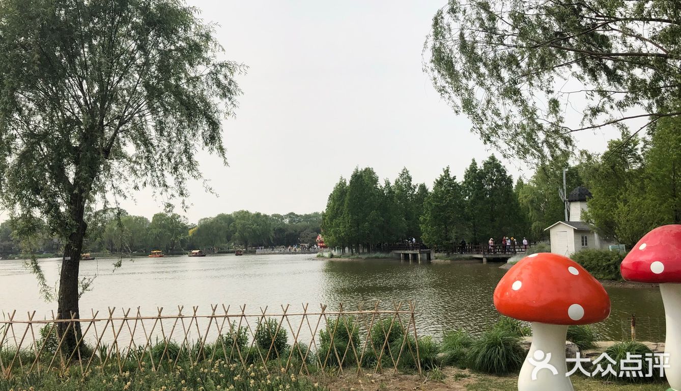 我们今天去那里野餐了，有成片的草地