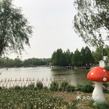 我们今天去那里野餐了，有成片的草地