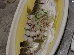-老绍兴养和饭店(向阳不夜城店)
