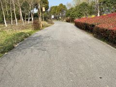 -梁鸿国家湿地公园