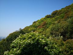 -杭州半山国家森林公园