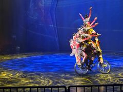 -重庆国际马戏城