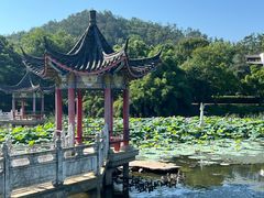 -青龙山国家森林公园