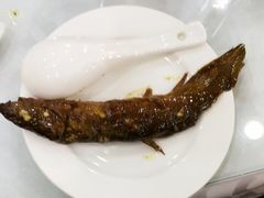 -宝发园名菜馆