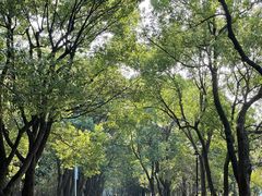 -水上明月·湖景餐厅