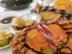 -339旋转餐厅(天府熊猫塔店)