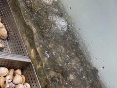 -金滏山烤肉·海鲜·火锅自助餐厅(襄阳万达店)