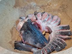 -云中鱼蒸汽石锅鱼(浦东食品城店)