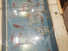 -芝麻花餐厅(祁家豁子店)