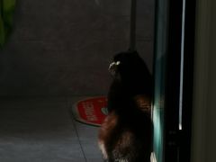 -宠欣安宠物医院·包河区中心医院