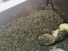 -叶氏麻糍(鼓浪屿店)