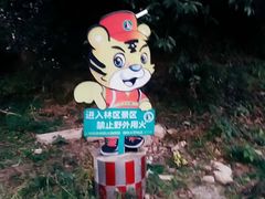 -云碧峰国家森林公园