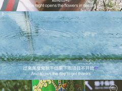 -龙湾潭国家森林公园