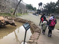 -燊海井