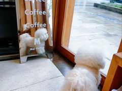 -MOI COFFEE(江山汇悦山府店)