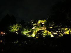-杭州西子湖四季酒店-WL BISTRO西湖餐厅(灵隐路店)