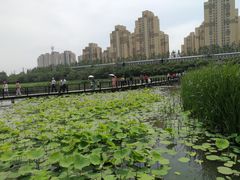 -前关湿地公园