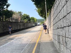 -东望洋炮台东望洋灯塔