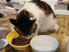 -小时光咖啡馆(北锣鼓巷店)