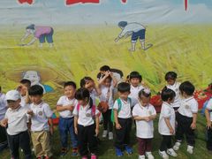 -上海闵行区阶梯吉美幼儿园