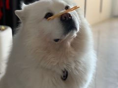 -骨之味·筒骨汤火锅(晋江万达店)