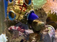 -太平洋海底世界