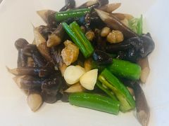 青椒鸡纵菌-马旺子酒楼